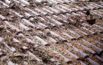 Bockleton roof cleaning companies