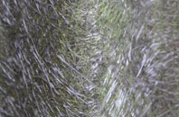 Bockleton fibreglass roof work